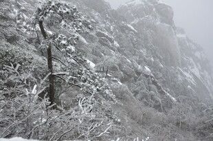 雪覆山林美景