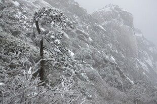 雪覆山林景