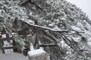 雪覆古亭 冬日静谧景致
