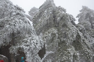 雪覆山林美景