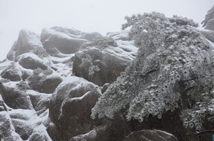 雪覆山石树木的冬日景致