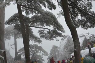 雪中山林下的人群景象