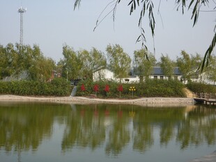 湖畔风光 绿植环绕的宁静水域