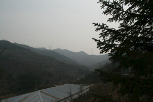 山间景色 朦胧绿意入眼