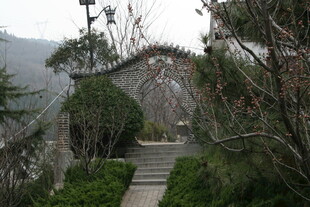 山间蜿蜒石径与绿植景观