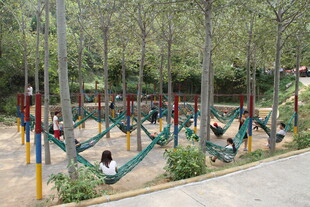 公园中惬意的吊床休闲场景