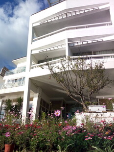 现代风格多层建筑与花卉