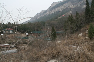 山间萧瑟景致