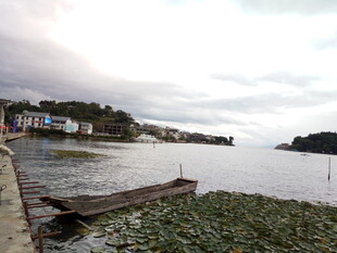 宁静湖畔木筏与岸边景致
