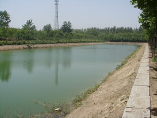 宁静河畔风光