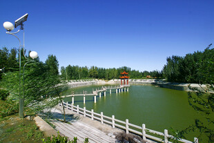 湖畔木桥风景