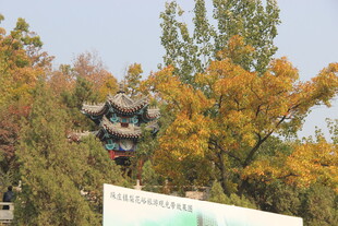 秋日树间古建筑