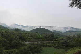 山间云雾缭绕的绿意景致