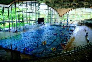 德国室内大型游泳馆热闹场景