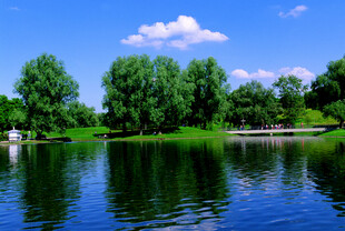 德国湖畔绿树蓝天的静谧风光