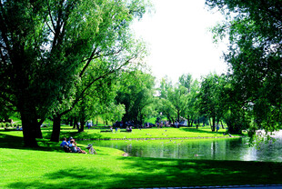 德国湖畔绿荫下的惬意休闲时光