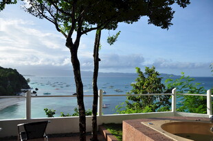 海景阳台旁的绿树景观