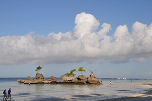 海岛风光 浅滩上的绿意点缀