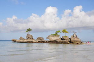 海岛风光 椰树点缀的美丽景致