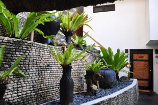 庭院绿植景观装饰一角