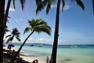 热带海滩风光 椰树碧海