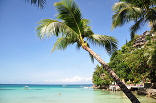 热带海滩椰树美景