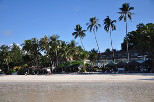 热带美丽沙滩与棕榈树