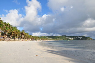 美丽海滩风光 椰树伴蓝天