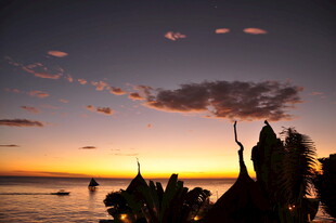 海边日落仙人掌剪影美景