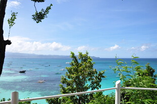 海边美景 绿植环绕的海景