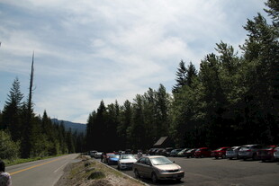 林间停车场的车辆景象