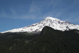 雪山巍峨 森林环绕的美景