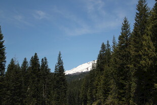 山林间的雪山远景