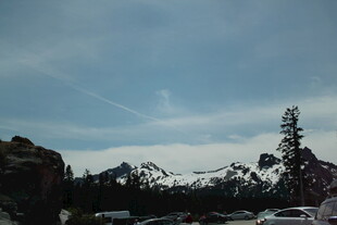 山间风景 天空与树木相映