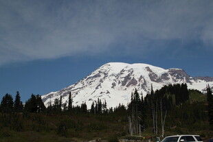 雪山下的森林与车辆景观
