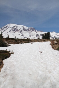 雪山下的冰雪覆盖之地