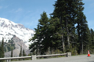 雪山旁的公路与树木景观