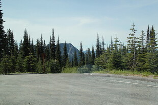 林间空旷道路景色
