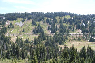 山林间的度假村落景观