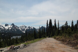 山间小路旁的雪山森林景观
