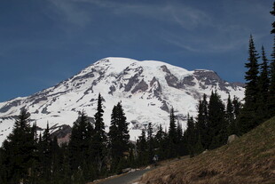 雪山下的森林美景