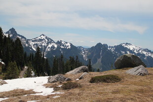 雪山下的山林风光