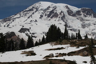 雪山松林壮丽自然景观
