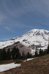 雪山下的森林美景