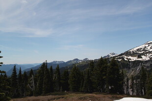 雪山下的森林美景
