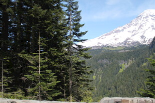 山林间的壮丽雪山景观