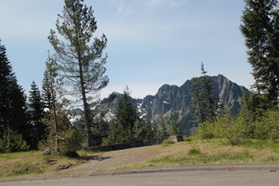 山间公路旁的葱郁树林与远山