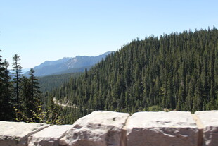 山间石畔森林美景