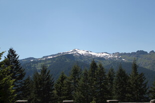 雪山下的森林美景