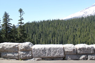 山林旁的石墙景观